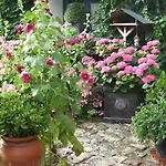 Les Glycines Bed & Breakfast Ury