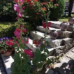 Les Glycines Bed & Breakfast