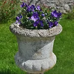 Les Glycines Bed & Breakfast Ury