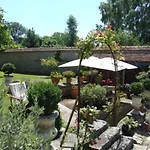 Les Glycines