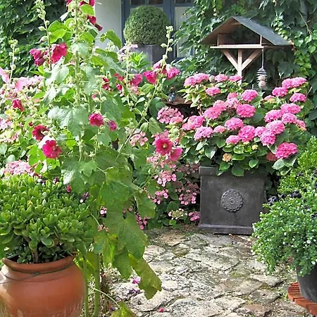 B&B Les Glycines 3*